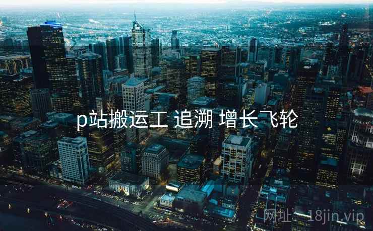 p站搬运工 追溯 增长飞轮