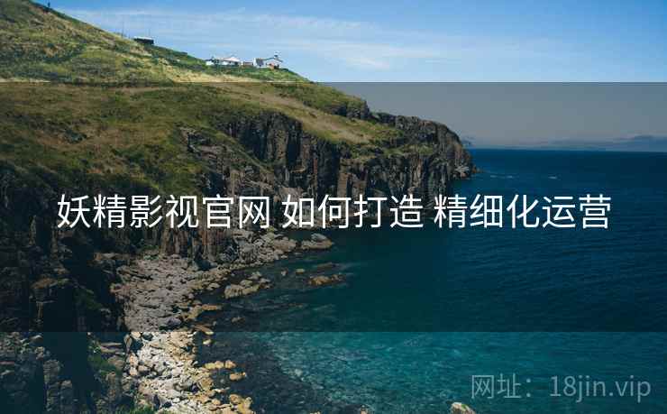 妖精影视官网 如何打造 精细化运营
