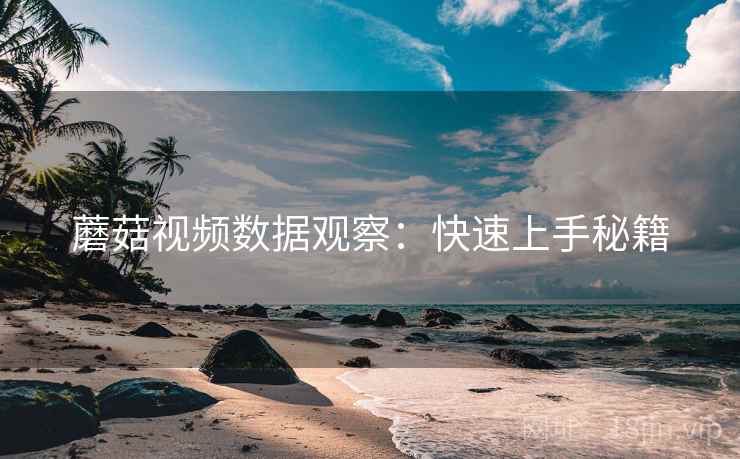 蘑菇视频数据观察：快速上手秘籍