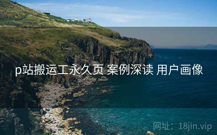 p站搬运工永久页 案例深读 用户画像