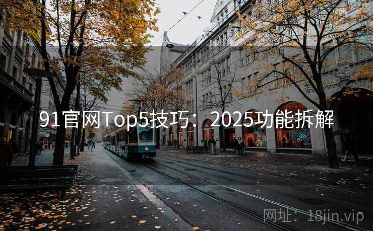 91官网Top5技巧：2025功能拆解