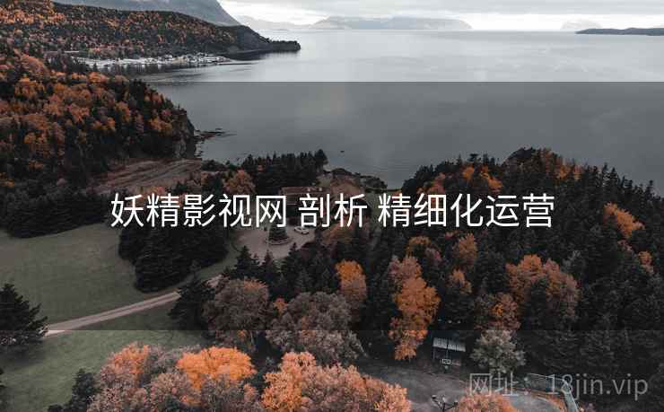 妖精影视网 剖析 精细化运营