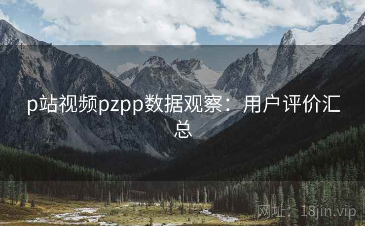 p站视频pzpp数据观察：用户评价汇总