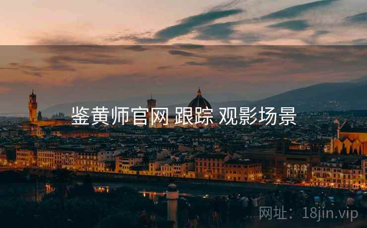 鉴黄师官网 跟踪 观影场景