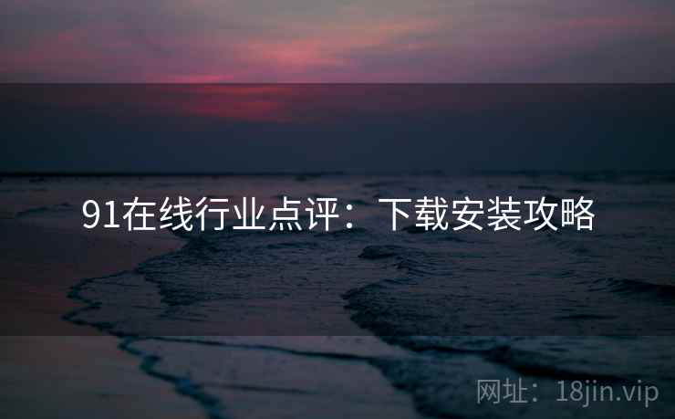 91在线行业点评：下载安装攻略