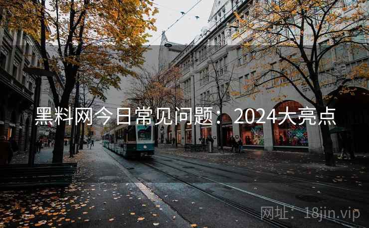 黑料网今日常见问题：2024大亮点