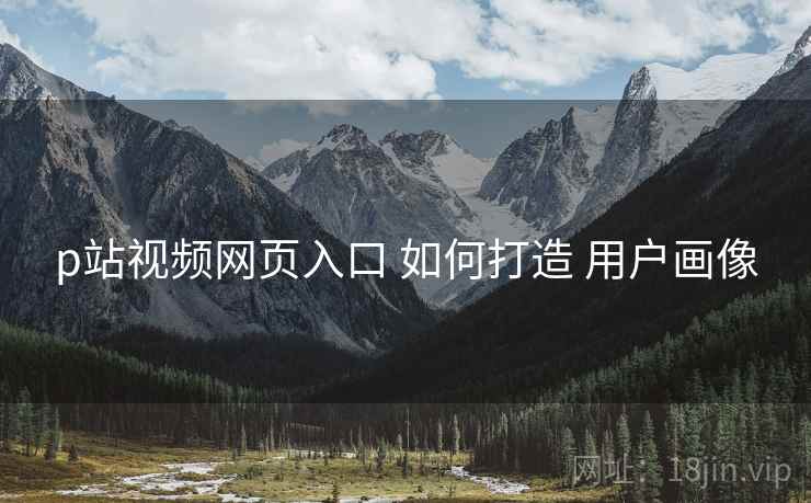 p站视频网页入口 如何打造 用户画像